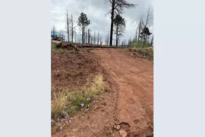 Lot 542 Forbes Park, Fort Garland, CO 81133 - Photo 4