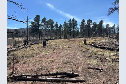 Lot 542 Forbes Park, Fort Garland, CO 81133 - Photo 20