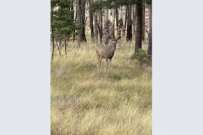 Lot 542 Forbes Park, Fort Garland, CO 81133 - Photo 1