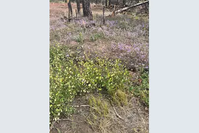 Lot 542 Forbes Park, Fort Garland, CO 81133 - Photo 10