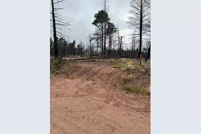 Lot 542 Forbes Park, Fort Garland, CO 81133 - Photo 8