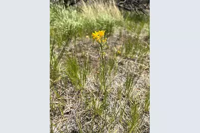 Lot 542 Forbes Park, Fort Garland, CO 81133 - Photo 8