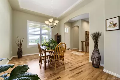 10052 Bristleridge Street, Parker, CO 80134 - Photo 8