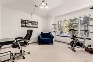 308 Red Hawk Cir, Silverthorne, CO 80498 - Photo 28