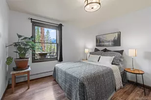 681 Shekel Ln, Breckenridge, CO 80424 - Photo 38