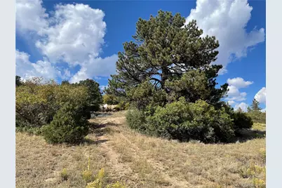 1810 Bird Point Drive, Cotopaxi, CO 81223 - Photo 8