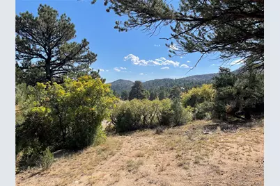 1810 Bird Point Drive, Cotopaxi, CO 81223 - Photo 10