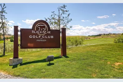 11943 Song Bird Hills Street, Parker, CO 80138 - Photo 38