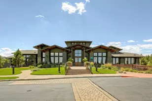 11943 Song Bird Hills St, Parker, CO 80138 - Photo 40