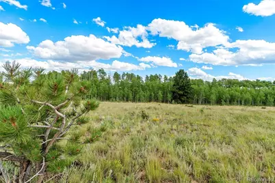 1327 Sheep Ridge Road, Fairplay, CO 80440 - Photo 8