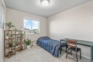 5784 Dakan Loop, Colorado Springs, CO 80927 - Photo 18