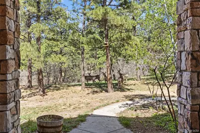 9676 S Perry Park Road, Larkspur, CO 80118 - Photo 4