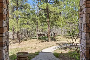 9676 S Perry Park Rd, Larkspur, CO 80118 - Photo 4
