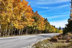 2649 Coil Dr, Fairplay, CO 80440 - Photo 40