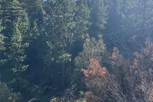 Tr-1 G Path, Cotopaxi, CO 81223 - Photo 1