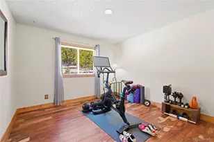 8790 S Warhawk Rd, Conifer, CO 80433 - Photo 18