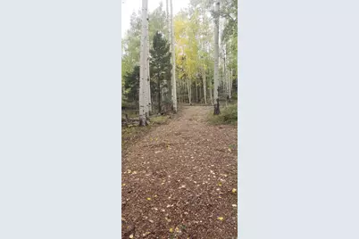 Lot 5174 Mo Road, Fort Garland, CO 81133 - Photo 6