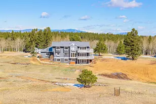 78 Moss Rock Dr, Divide, CO 80814 - Photo 42