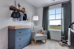 4668 Combine Ln, Johnstown, CO 80534 - Photo 30