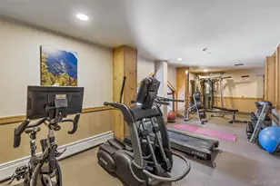 105 Wheeler Cir, Frisco, CO 80443 - Photo 24