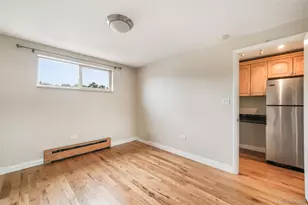558 N Washington St, Denver, CO 80203 - Photo 20