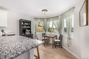 4885 Eckert St, Castle Rock, CO 80104 - Photo 14