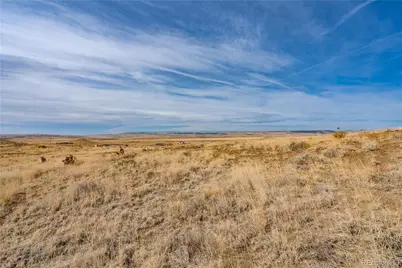 5975 Rattlesnake Point, Fountain, CO 80817 - Photo 14