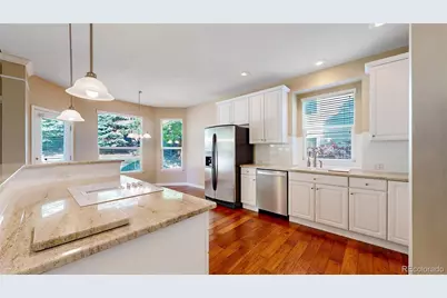 9845 Keenan Street, Highlands Ranch, CO 80130 - Photo 8