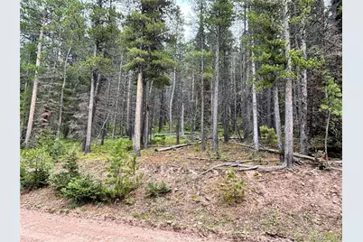 00 Moir Drive, Fort Garland, CO 81133 - Photo 2