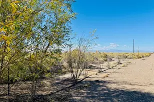 810 Road 110, Mosca, CO 81146 - Photo 26