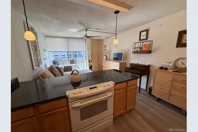 909 N Logan Street #6D, Denver, CO 80203 - Photo 2