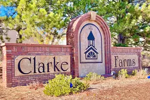 10907 Baxter Dr, Parker, CO 80134 - Photo 38