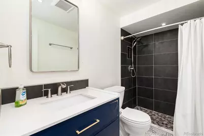 3034 S Columbine Street, Denver, CO 80210 - Photo 40