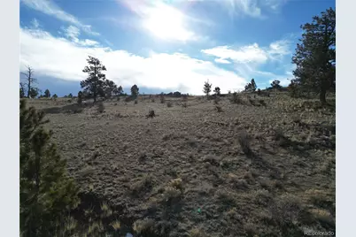 10620 Routt Road, Lake George, CO 80449 - Photo 22