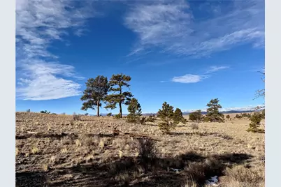 10620 Routt Road, Lake George, CO 80449 - Photo 14