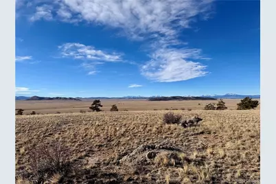 10620 Routt Road, Lake George, CO 80449 - Photo 10