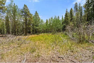 Lot 1 Venture Road, Fairplay, CO 80440 - Photo 4