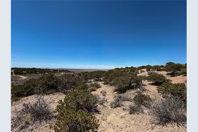 Lot 1058 Hotchkiss Road, Fort Garland, CO 81133 - Photo 6