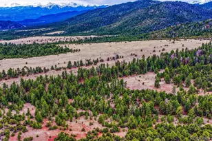 10475 County Road 12, Cotopaxi, CO 81223 - Photo 46