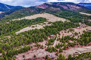 10475 County Road 12, Cotopaxi, CO 81223 - Photo 36