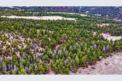 10475 County Road 12, Cotopaxi, CO 81223 - Photo 40