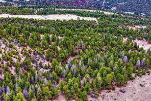 10475 County Road 12, Cotopaxi, CO 81223 - Photo 40