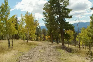 12434 S US Hwy 285, Conifer, CO 80433 - Photo 2