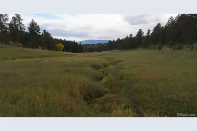 12434 S US Hwy 285, Conifer, CO 80433 - Photo 4