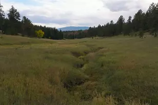 12434 S US Hwy 285, Conifer, CO 80433 - Photo 4