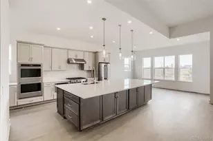 412 Agoseris Wy, Castle Rock, CO 80104 - Photo 4