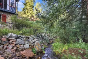 222 Road P60, Bailey, CO 80421 - Photo 28