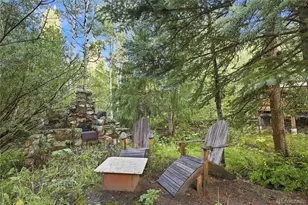 222 Road P60, Bailey, CO 80421 - Photo 32