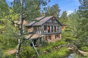 222 Road P60, Bailey, CO 80421 - Photo 2