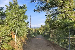 222 Road P60, Bailey, CO 80421 - Photo 34